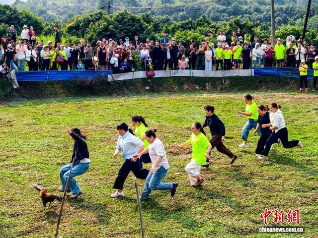 开展徒手捉鸡比赛。李贵平 摄