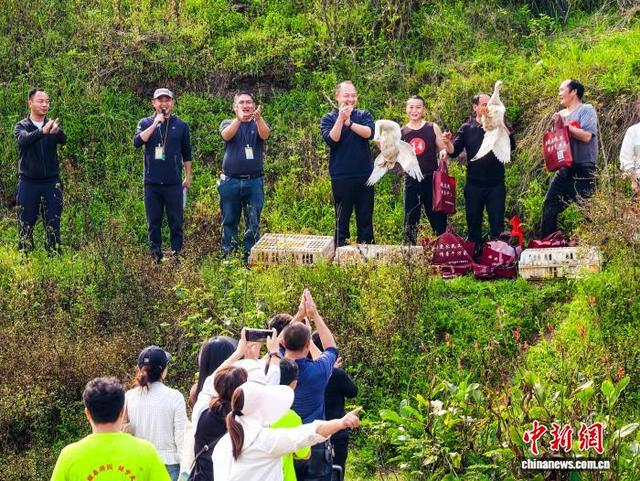 获胜选手领奖。李贵平 摄