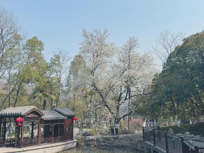 图源：包河区农林水务局