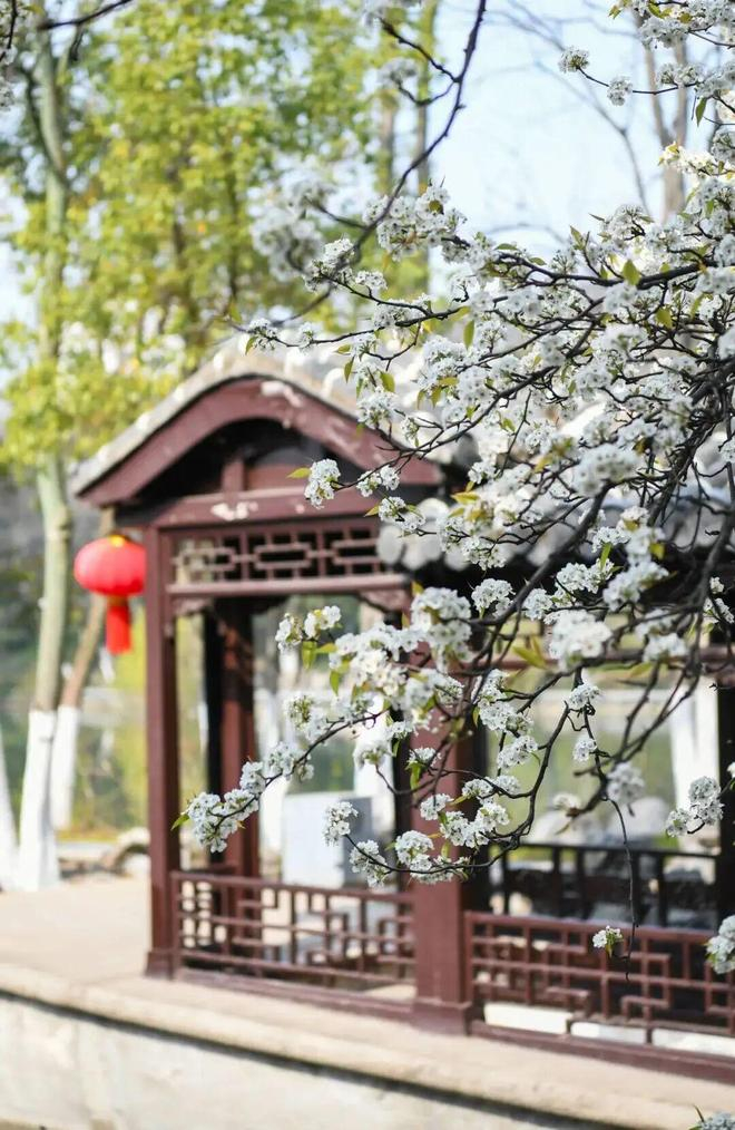 图源：“安徽第一城区包河区”微信号