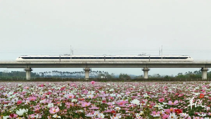 广东城际列车