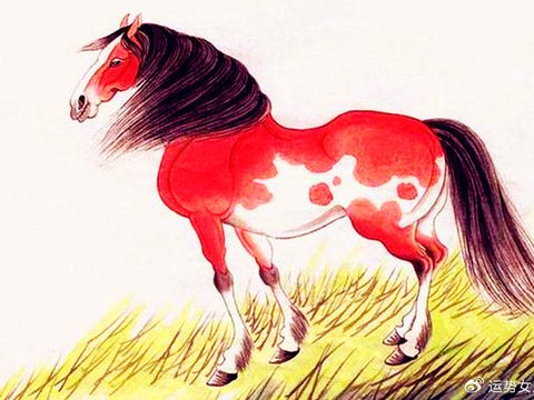 天赐好命运，今年的生活大有进步，生意红火不缺钱的生肖