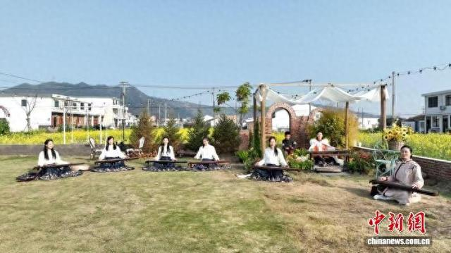 3月，浙江龙港，花田间上演古琴演奏。 金君 摄