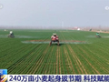 从“靠经验”向“靠数据”转变 科技为农业生产装上了“数字大脑”
