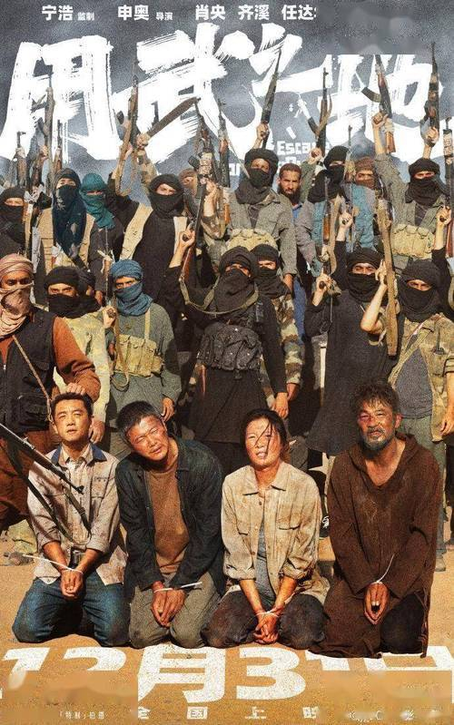 💫 小众惊喜之选：时空爱恋与惊悚猎奇