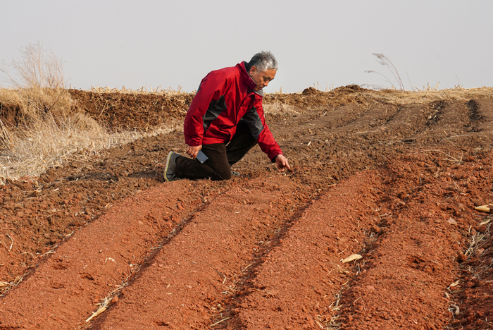 李保国在田间调研。受访者供图