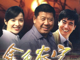 金色农家[2009年刘继书执导电视剧]