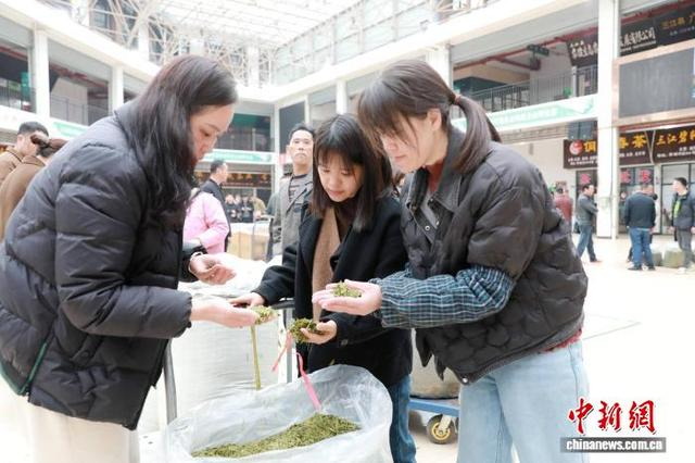 图为三江侗族自治县三江茶城的干茶交易现场。龚普康 摄