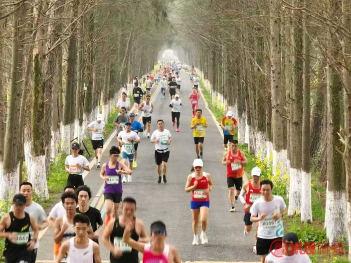 来源：洪观新闻记者 万能/文 成奔/图