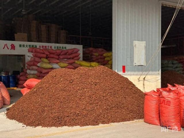 桂通香料孵化基地一商户店铺前堆放的八角（央广网发 记者管昕摄）