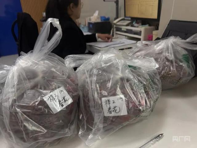 记者将随机走访获取的11份八角送检（央广网发 记者管昕摄）