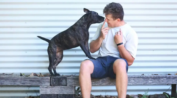 图 | 狗狗罗西和保罗（来源：John Feder）