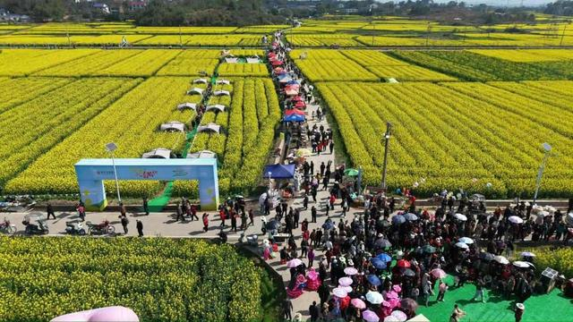 活动现场热闹非凡。文浩摄