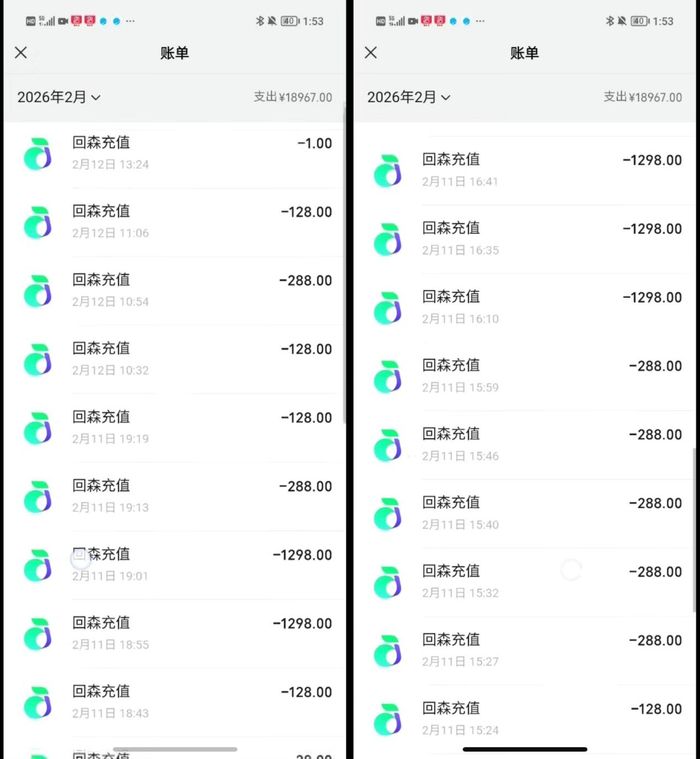 李想在回森充值的部分账单。受访者供图