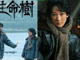 2026年开年爆火陆剧《生命树》深度剖析