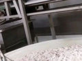 网红鸡爪生产车间令人作呕，鸡爪用双氧水漂白，被踩踏后直接放回加工 ​！重庆通报：已立案调查