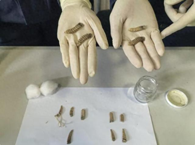 图源：“海关发布”微信公众号