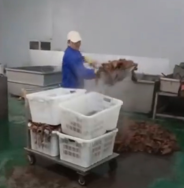 问题毛肚生产流程被曝光