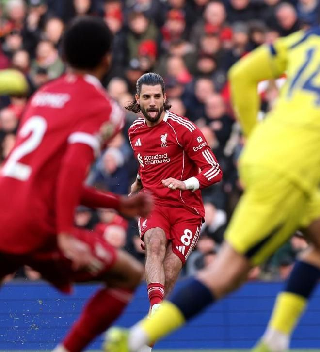 以上图片来源网络