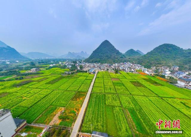 图为航拍广西桂林阳朔县白沙镇的田园风光。何华文 摄