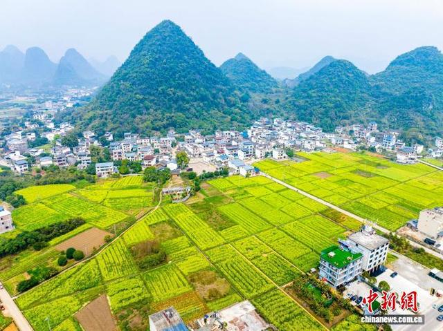图为航拍广西桂林阳朔县白沙镇的田园风光。何华文 摄