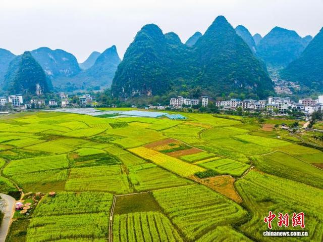 图为航拍广西桂林阳朔县白沙镇的田园风光。何华文 摄