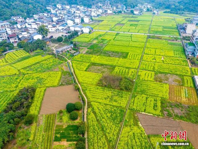 图为航拍广西桂林阳朔县白沙镇的田园风光。何华文 摄