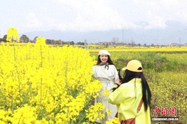 3月18日，游人在陕西省汉中市油菜花田旁赏花拍照。 李一璠 摄
