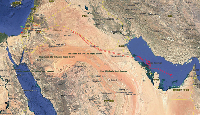 某个糊涂蛋全程开了应答机，使得路径被记录了下来