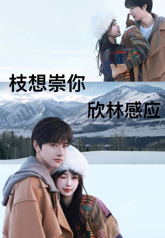 虞书欣的百搭CP体质真是让人佩服得五体投地。无论是与哪位男演员搭档，她都能展现出不一样的魅力，让观众们嗑得停不下来。这种独特的魅力不仅来自于她的演技和颜值，更来自于她那种自然、真实的性格和态度。相信在未来的日子里，虞书欣还会继续为我们带来更多精彩的CP组合和作品！你最嗑的是哪对CP呢？