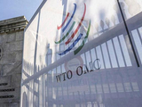 世贸组织：中东冲突或拖累全球贸易增长前景