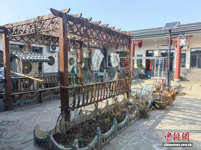 温馨舒适的民宿小院。 陆祁国 摄