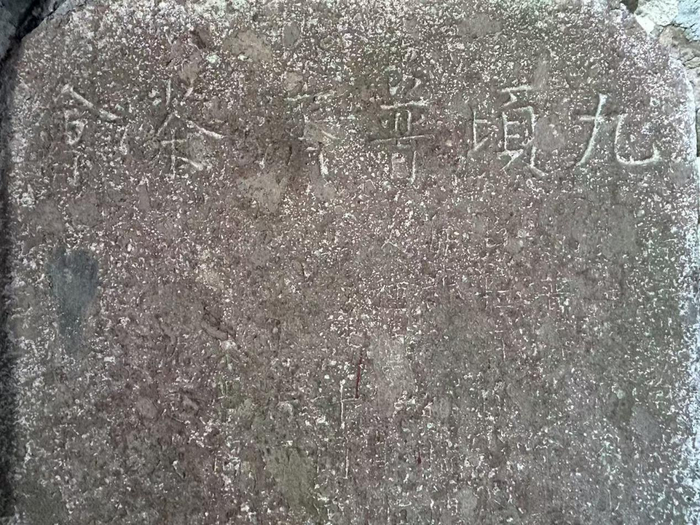 “九顷□□茶会”，字见清道光碑  王群摄