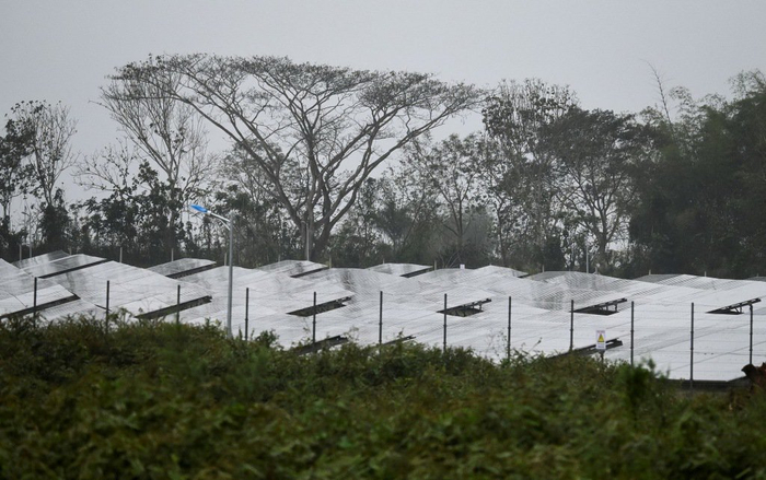 　　2025年2月21日，古巴哈瓦那，新太阳能发电园揭幕。这是该国旨在缓解电力短缺问题的计划中的第一座发电园。视觉中国 图