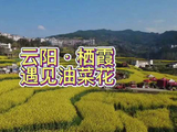 春分 二月二 云阳 栖霞 遇见油菜花
