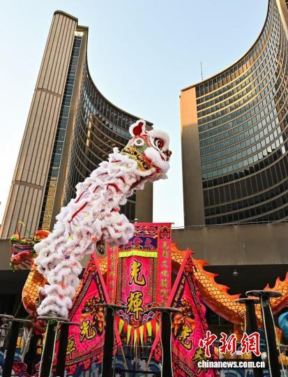 2025年8月，光辉龙狮体育会在第六届多伦多龙文化节表演高桩舞狮。受访者供图