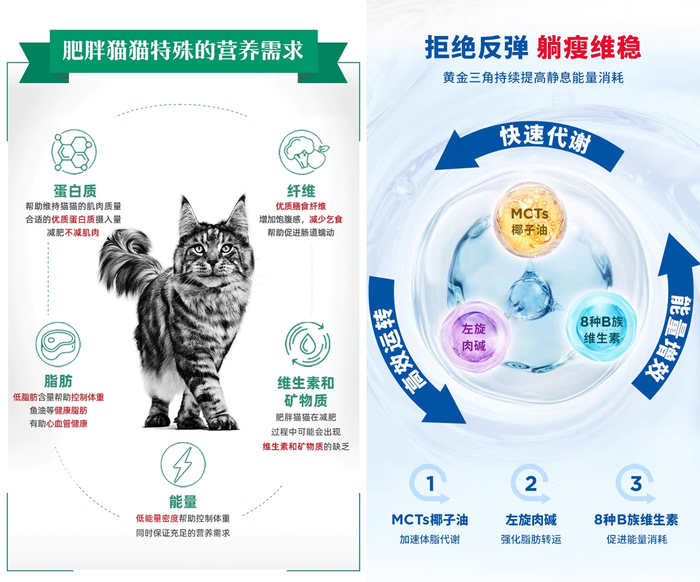 宠粮品牌会在减肥粮中添加特定成分改善代谢。图源：天猫