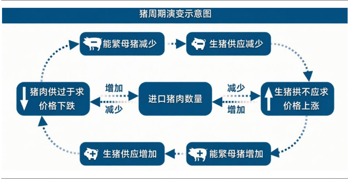 来源：国信证券20260314《一键布局养殖周期拐点》