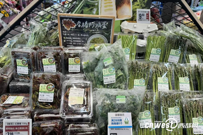 盒马万象天地店蔬菜货架上春菜整齐码放。
