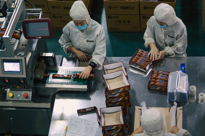 ▲工人正对巧克力成品质检。（田邦佐摄）