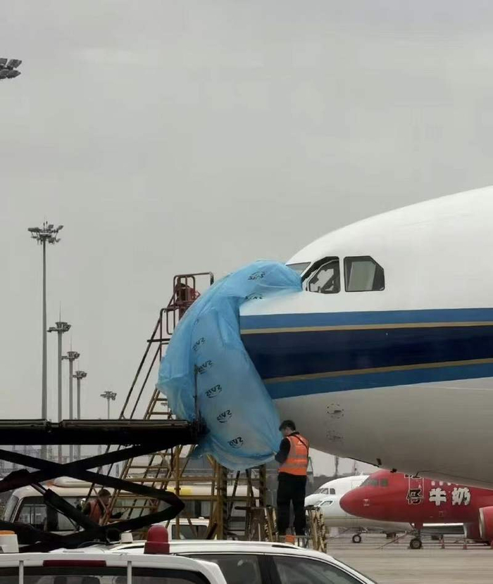 注册号B-1062飞机遭鸟击受损。受访者供图