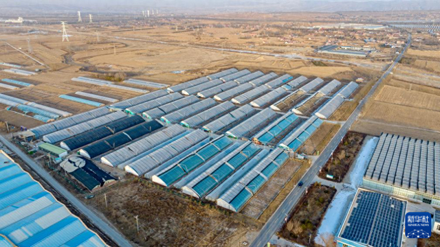 这是2月2日拍摄的宁夏固原市原州区彭堡镇姚磨村农业体验园（无人机照片）。新华社记者 杨植森 摄