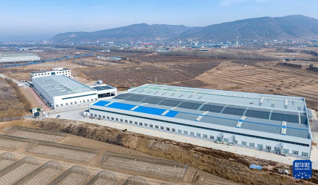 这是2月4日拍摄的位于宁夏固原市西吉县兴隆镇的宁夏双成实业有限公司（无人机照片）。新华社记者 杨植森 摄