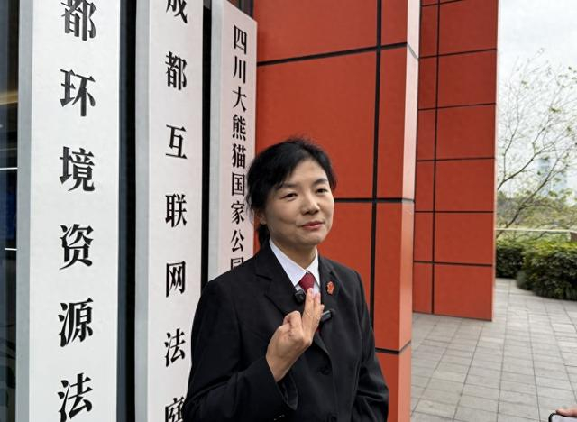 成都铁路运输第一法院院长程媛媛向媒体介绍互联网法庭情况。 澎湃新闻记者 胥辉 摄