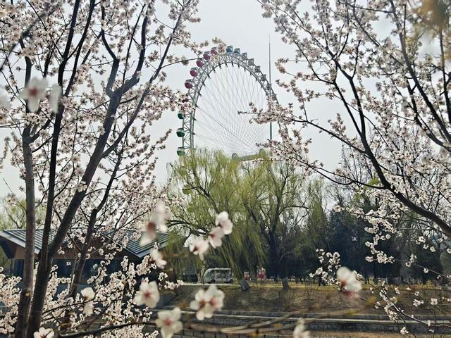 来源：北京日报客户端