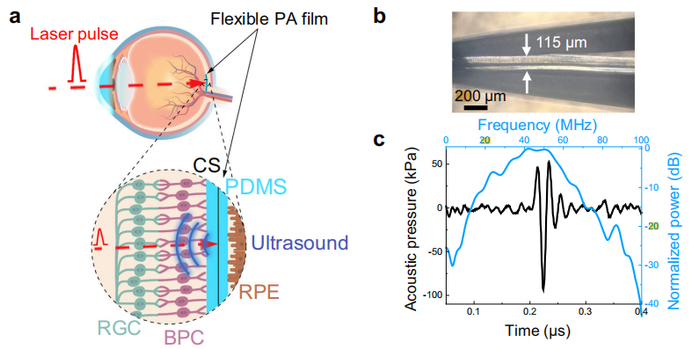 图丨柔性光声薄膜的表征（来源：Nature Communications）