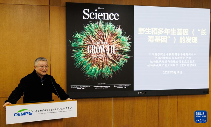 我国科学家发现野生稻“长寿基因”|院士|植物科学|中国科学院|王佳伟|韩斌_新浪新闻