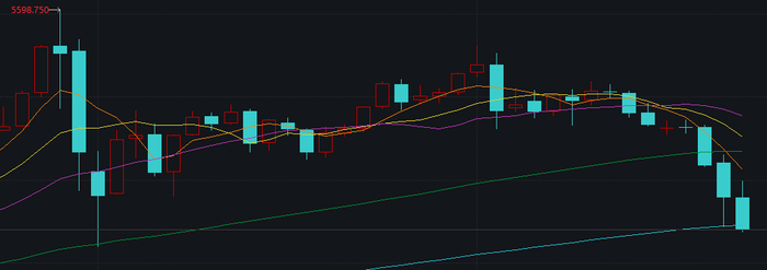 现货黄金价格走势。图片来源:Wind