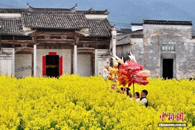 3月21日，在一处油菜花田里，黄睍豪和他的小伙伴们一起舞动石亭灯彩。韩苏原 摄