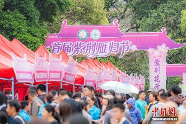 3月21日，华南农业大学举办首届“紫荆雁归节”。华南农业大学供图